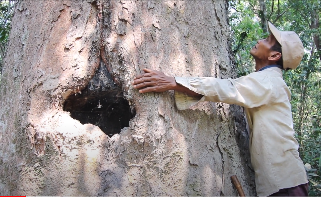 Customary Land and Natural Resource Management and Food Security Kui People