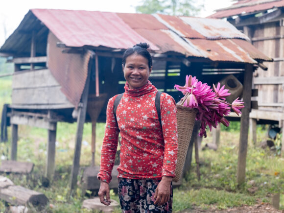 FIMI project summary report 2025